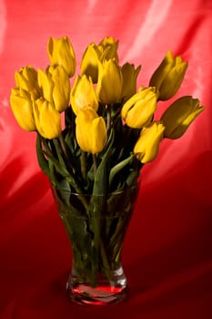 bunch of flowers, yellow tulip over red