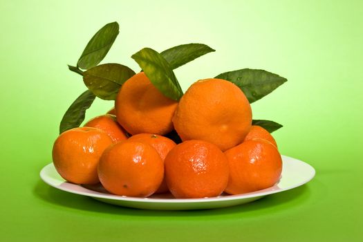 Several ripe tangerines on the plete over green background