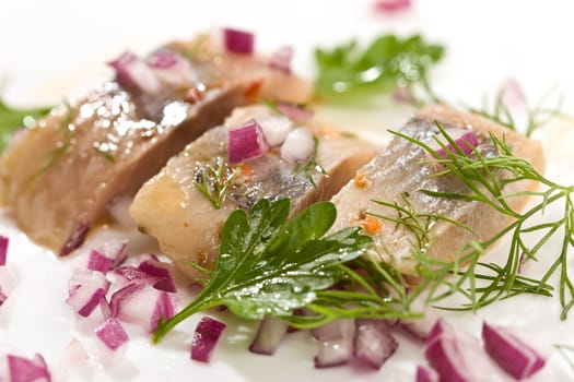 Macro picture of fillet herring with vegetables