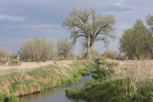 narrow irrigation ditch with fast flowing water, springtime, Colorado