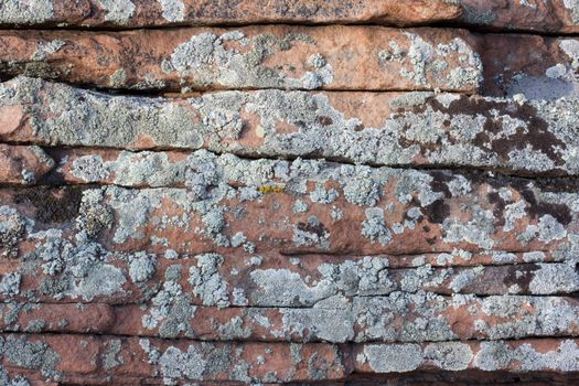 thin layers of red sandstone with silver lichen - background