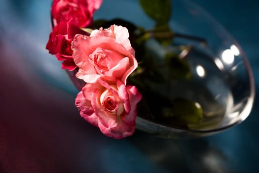 still life with tenderness roses on the blue silk