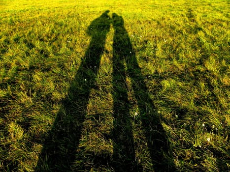 Shadow of people with colour grass in the background. 