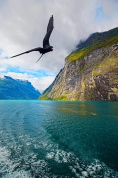 The Geiranger fjord in Norway, surrounded by high mountains