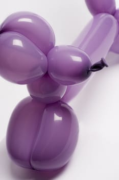 close up of a purple balloon dog