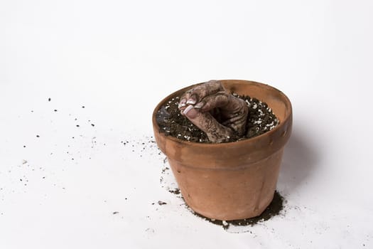 women hand coming out of a pot of earth in pinching position