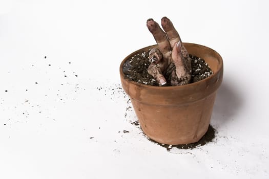 women hand coming out of a pot of earth