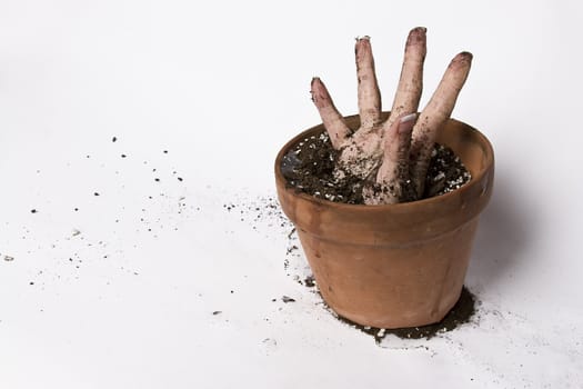 women hand stretching out of a pot of earth