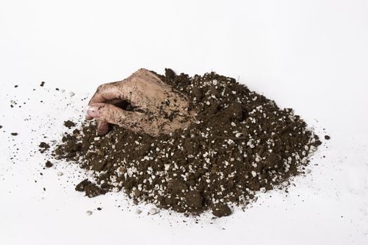 women hand coming out of a patch of earth