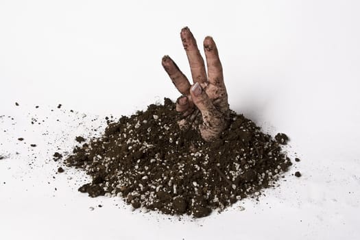 women hand stretching out of the earth