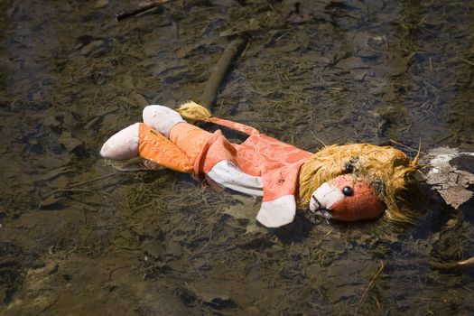 orange lion hand puppet left in a ditch