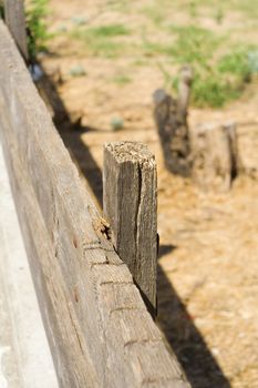 Old weatherd wooden fence boards with rusty nails