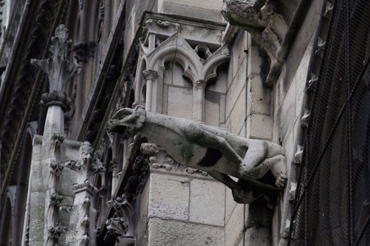 Capital of France - Paris. Notre-Dame. Fragment of architectural decoration. Gargoyle.