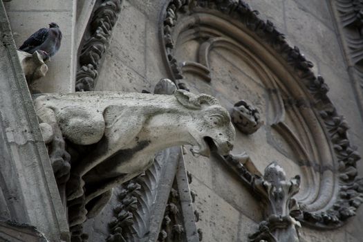 Capital of France - Paris. Notre-Dame. Fragment of architectural decoration. Gargoyle.