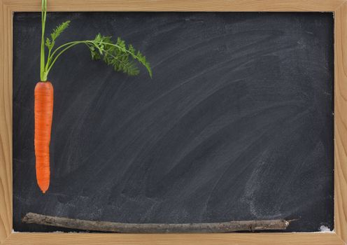 carrot, stick and blackboard - school motivation or reward and punishment concept, 