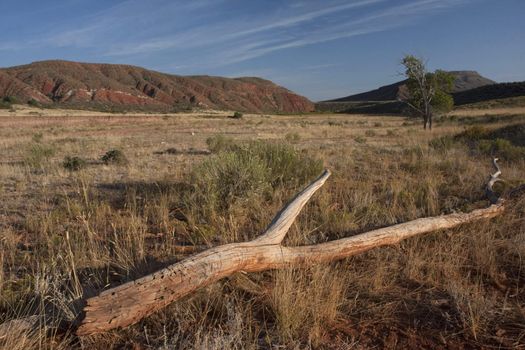 Red Mountain Open Space, semi desert landscape in northern Colorado (Laramie foothills) near Wyoming border, late summer