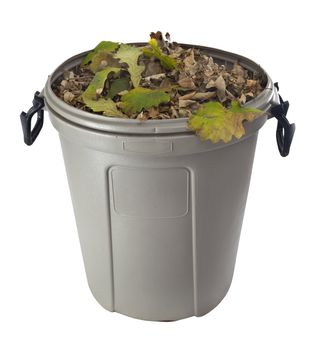 dry leaves in a plastic garbage bin isolated on white - fall backyard work concept