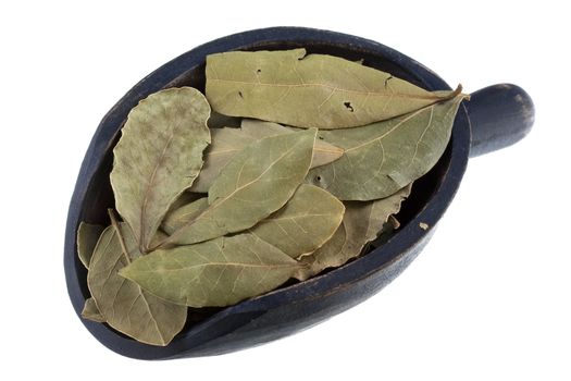 dried bay laurel leaves on a rustic wooden scoop isolated on white