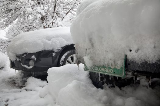 cars covered by snow in a driveway after winter storm in Colorado, focus on green licence plate