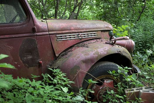 old rusted truck stuck in the woods