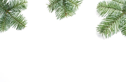 Frame of three  fir branches isolated on white background
