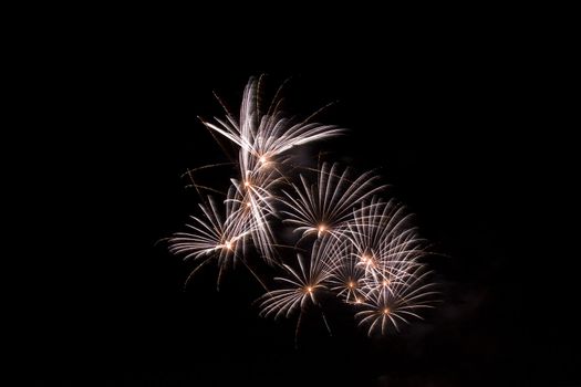 Firework display against black sky