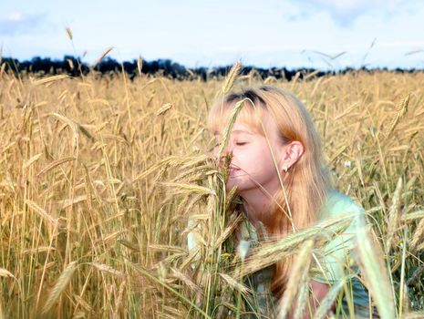 Sunny young beauty girl the field under blue sky