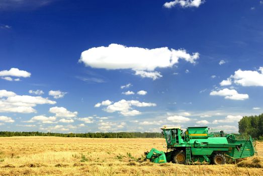 combine harvester working a wheat field