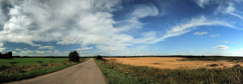 summer green and yellow fields and blue sky panorama