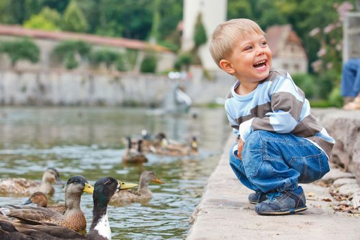 Cute little boy feeding ducks in the pond in a city park. Germany