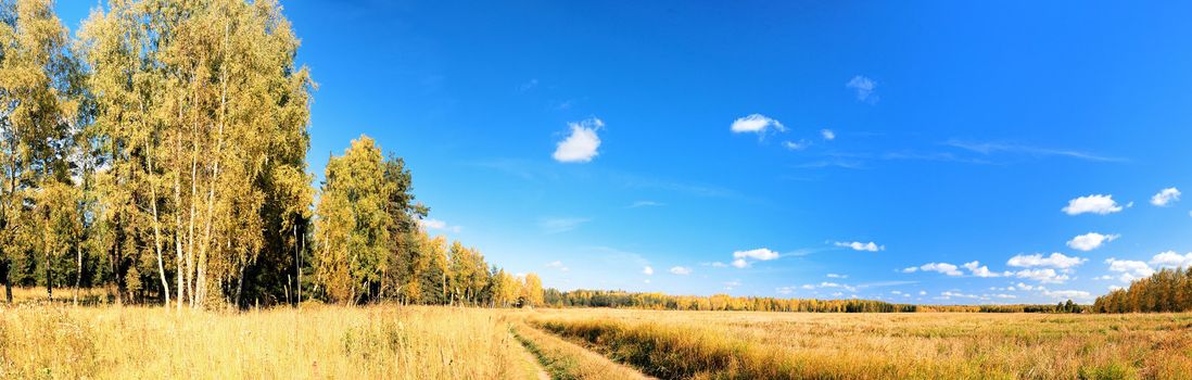 vibrant image of rural road and blue sky panorama
