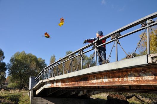 boy on bridge thinks desire and throws maple leaf in water