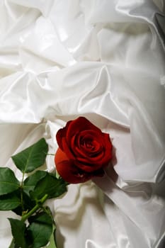 Red rose with green leaves among the folds of a white textured textile