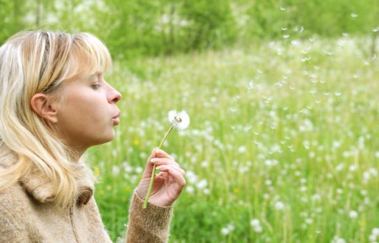 Girl blows on dandelion and thinks desire 