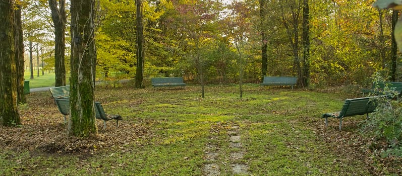 Picnic in the park, outing in the wood