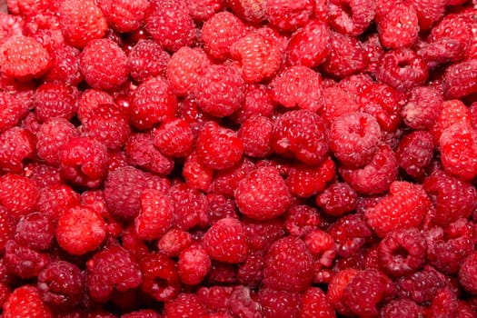 Ripe raspberry for use as a background removed close up