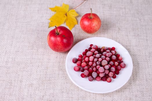 The frozen cowberry against red apples removed close up