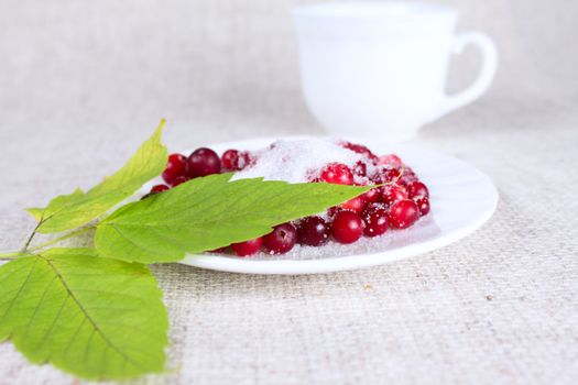 Cowberry in sugar with green sheet against a mug removed close up