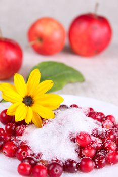 Cowberry in sugar on a white dish removed close up against apples and a flower