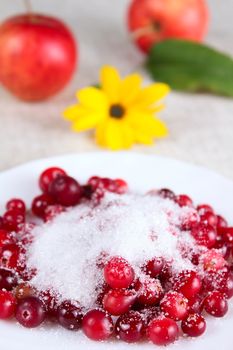 Cowberry in sugar on a white dish removed close up against apples and a flower