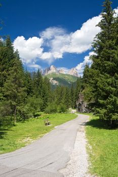 small road near Canazei in val di Fassa, Trentino, Italy. On background Sassolungo mountain