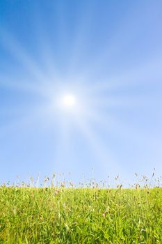 Idyllic lawn with sunlight