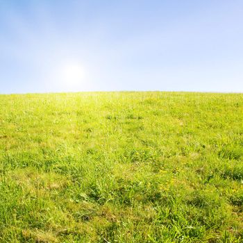 Idyllic lawn with sunlight