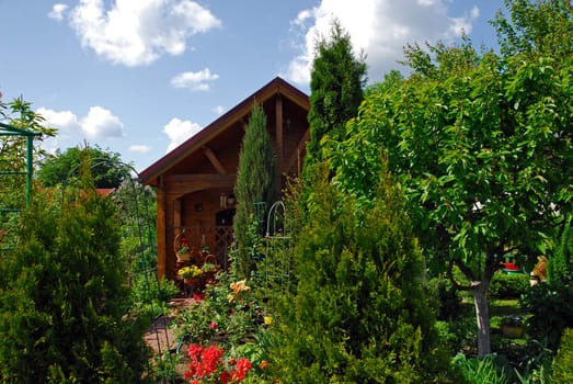 Small wooden house and garden around. Many plants, trees and flowers. Summertime