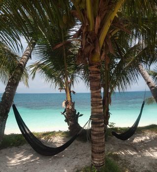 Two hammocks between coconut trees in the Malaysia island of Rawa