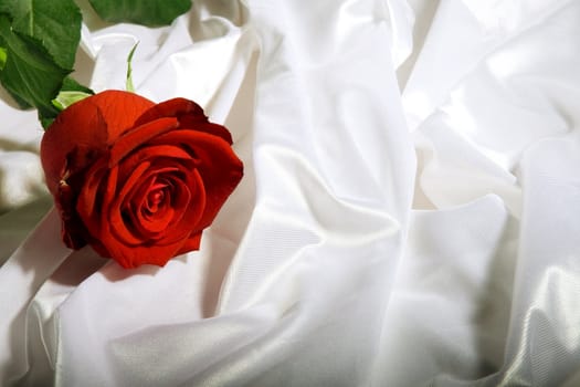 Red rose with green leaves among the folds of a white textured textile