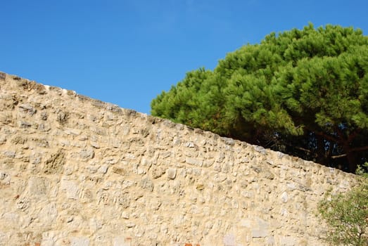 photo of an architecture ruin detail and tree (sky background)