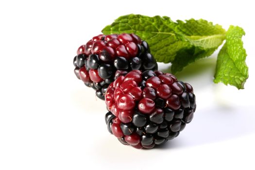 Two berries of a blackberry with green leaves of mint.