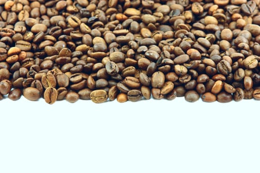 Coffee beans on white background