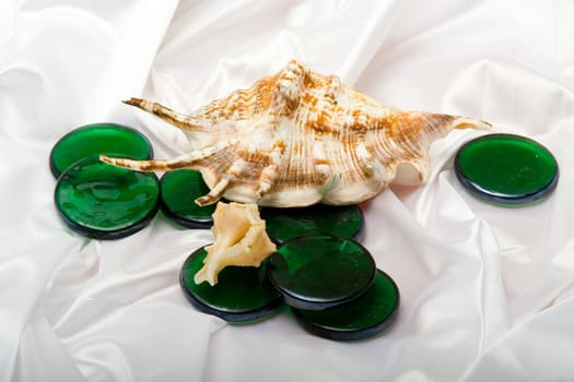 Sea shells and green decorative glass among the folds of a white textured fabric